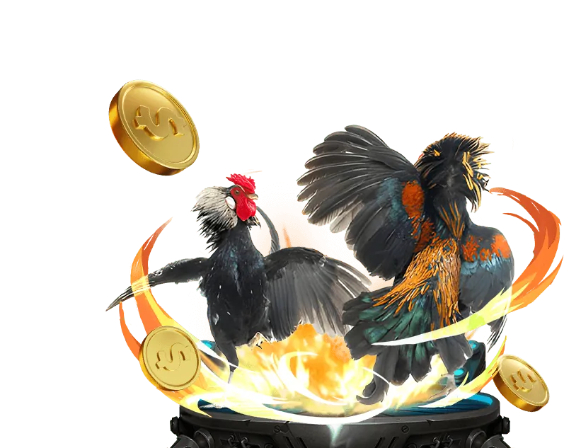 Người chơi đang chơi poker trực tuyến trên máy tính